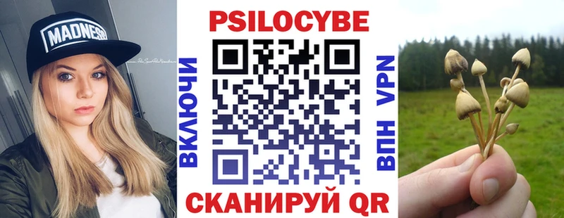 как найти закладки  Аксай  Псилоцибиновые грибы MAGIC MUSHROOMS 